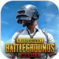 绝地求生pubg mobile(国际服)免费下载安装