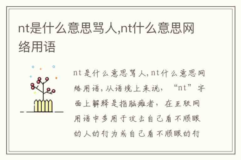 nt是什么意思骂人,nt什么意思网络用语