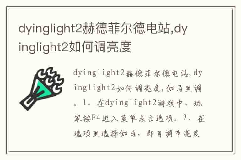 dyinglight2赫德菲尔德电站,dyinglight2如何调亮度