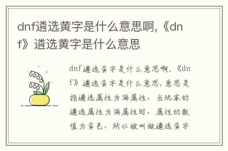 dnf遴选黄字是什么意思啊,《dnf》遴选黄字是什么意思