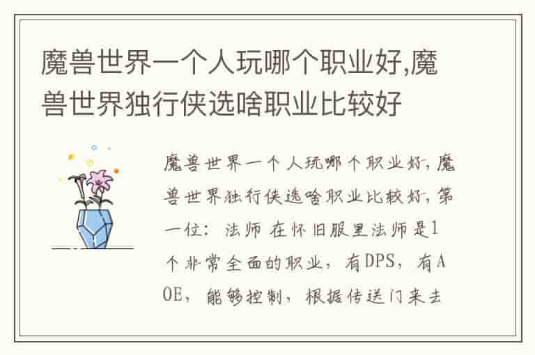 魔兽世界一个人玩哪个职业好,魔兽世界独行侠选啥职业比较好