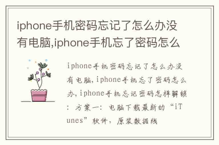 iphone手机密码忘记了怎么办没有电脑,iphone手机忘了密码怎么办
