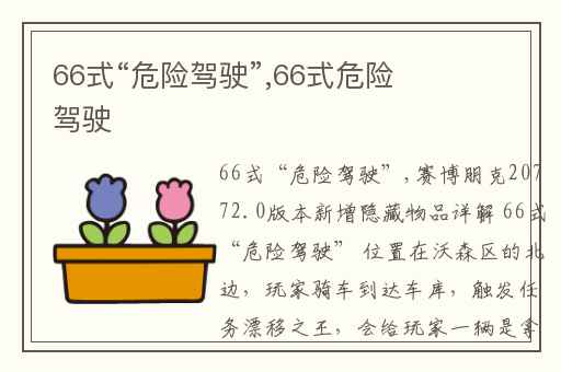66式“危险驾驶”,66式危险驾驶