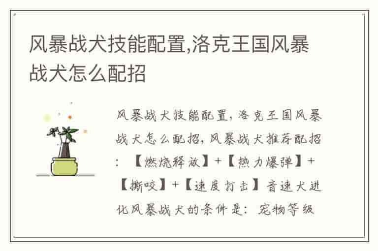 风暴战犬技能配置,洛克王国风暴战犬怎么配招