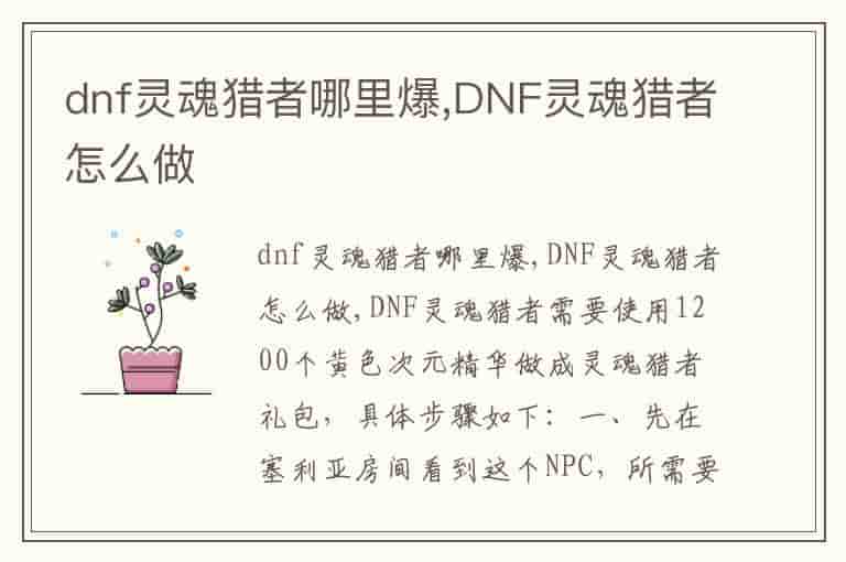 dnf灵魂猎者哪里爆,DNF灵魂猎者怎么做