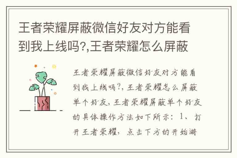 王者荣耀屏蔽微信好友对方能看到我上线吗?,王者荣耀怎么屏蔽单个好友