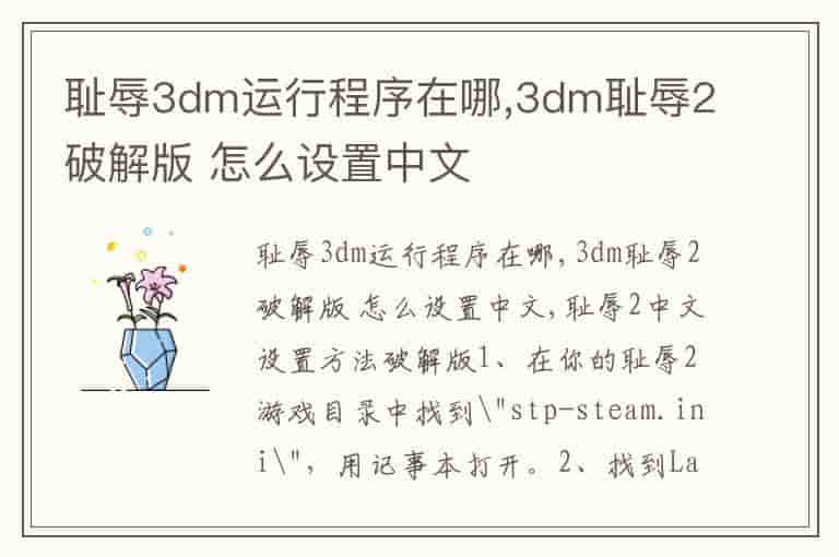 耻辱3dm运行程序在哪,3dm耻辱2破解版 怎么设置中文