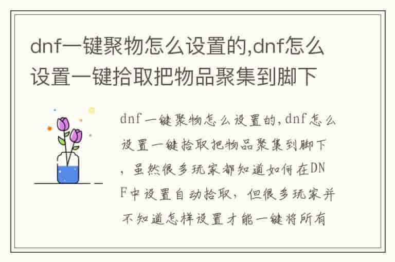 dnf一键聚物怎么设置的,dnf怎么设置一键拾取把物品聚集到脚下