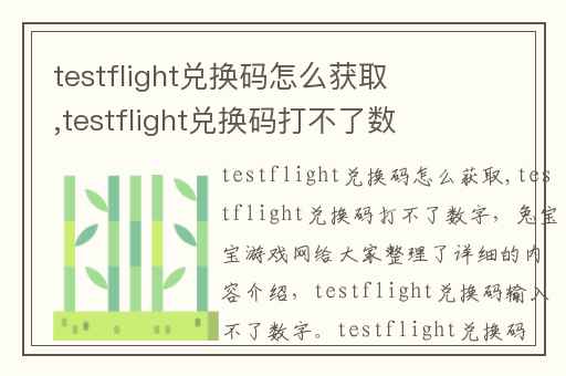 testflight兑换码怎么获取,testflight兑换码打不了数字