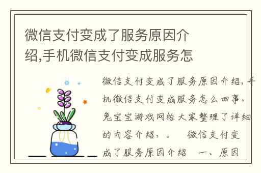 微信支付变成了服务原因介绍,手机微信支付变成服务怎么回事