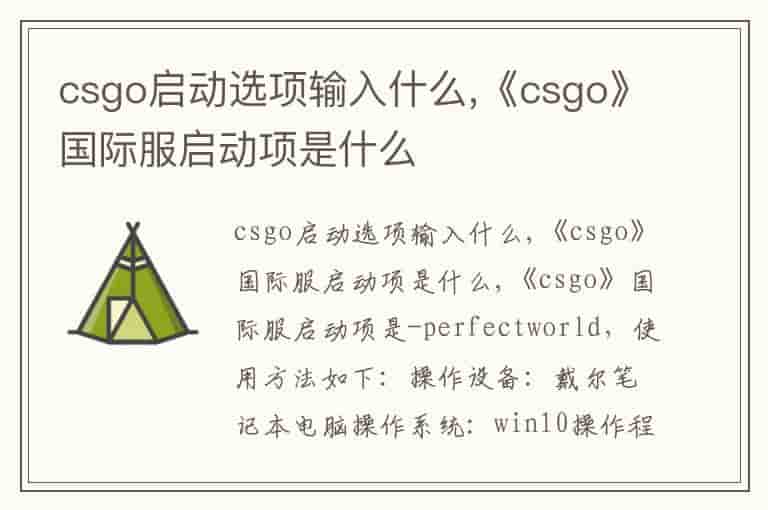 csgo启动选项输入什么,《csgo》国际服启动项是什么