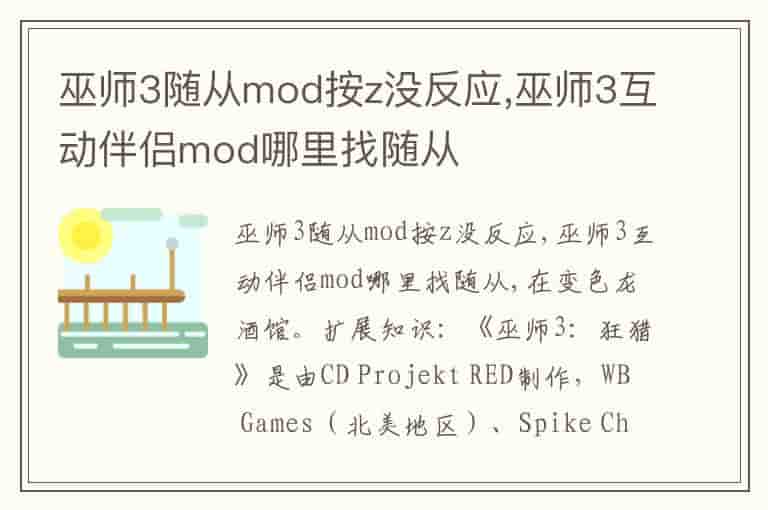 巫师3随从mod按z没反应,巫师3互动伴侣mod哪里找随从