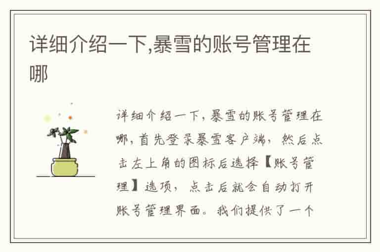 详细介绍一下,暴雪的账号管理在哪