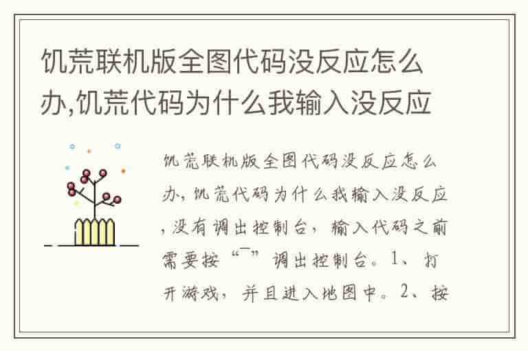 饥荒联机版全图代码没反应怎么办,饥荒代码为什么我输入没反应