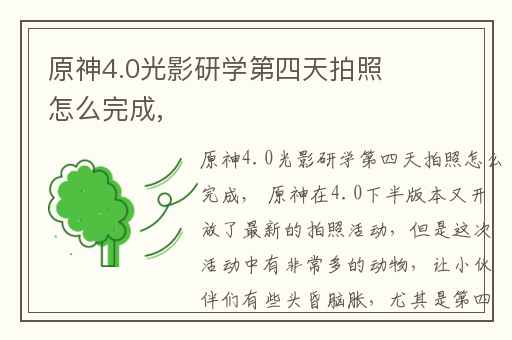 原神4.0光影研学第四天拍照怎么完成,