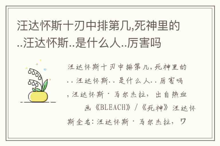 汪达怀斯十刃中排第几,死神里的..汪达怀斯..是什么人..厉害吗