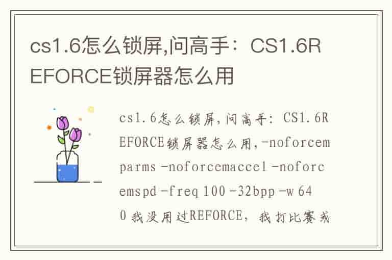 cs1.6怎么锁屏,问高手：CS1.6REFORCE锁屏器怎么用