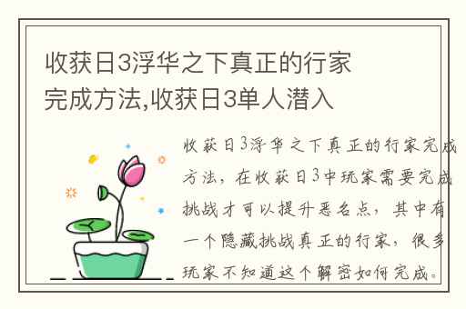 收获日3浮华之下真正的行家完成方法,收获日3单人潜入教程