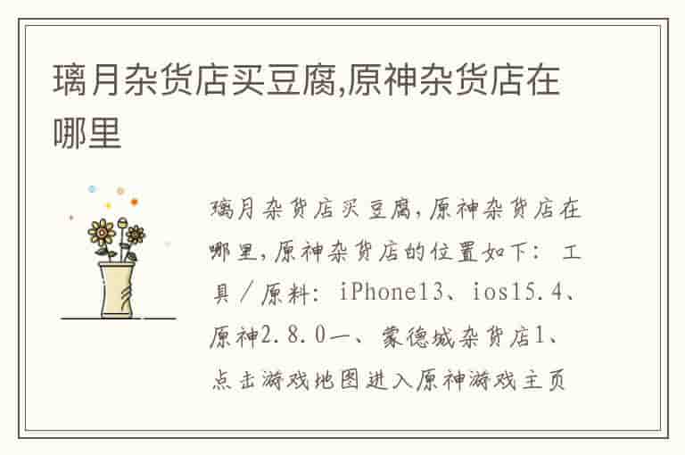 璃月杂货店买豆腐,原神杂货店在哪里