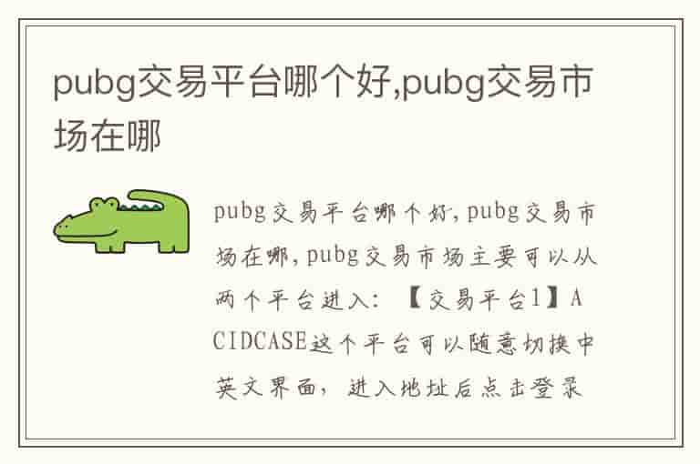 pubg交易平台哪个好,pubg交易市场在哪
