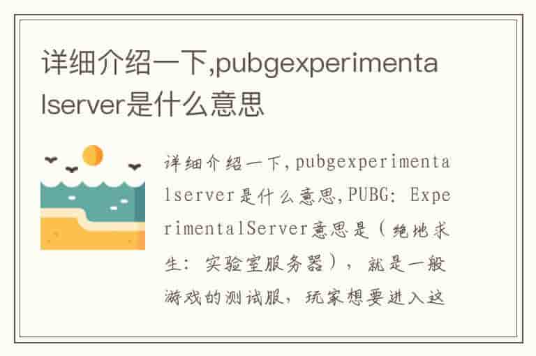 详细介绍一下,pubgexperimentalserver是什么意思