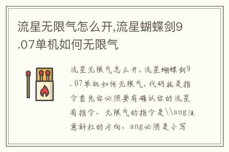 流星无限气怎么开,流星蝴蝶剑9.07单机如何无限气