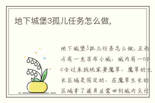 地下城堡3孤儿任务怎么做,