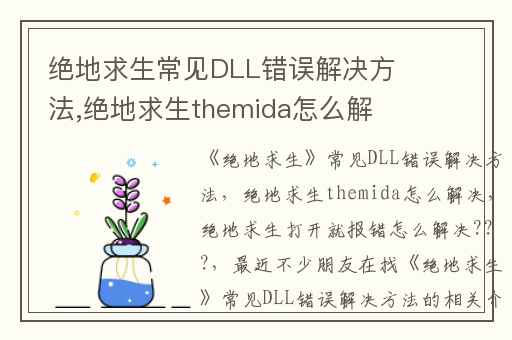 绝地求生常见DLL错误解决方法,绝地求生themida怎么解决