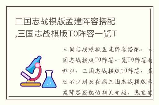 三国志战棋版孟建阵容搭配,三国志战棋版T0阵容一览T0阵容有哪些