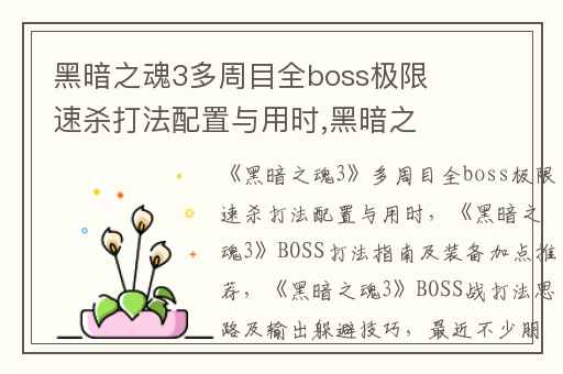 黑暗之魂3多周目全boss极限速杀打法配置与用时,黑暗之魂3BOSS打法指南及装备加点推荐