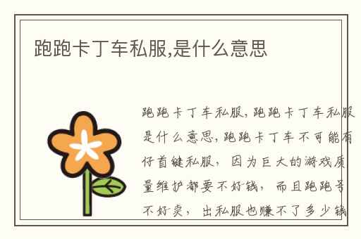 跑跑卡丁车私服,是什么意思