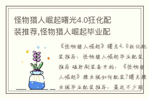 怪物猎人崛起曙光4.0狂化配装推荐,怪物猎人崛起毕业配装推荐 磕肝刷装备开始