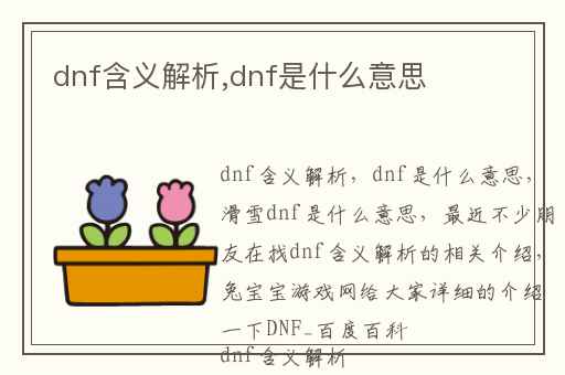 dnf含义解析,dnf是什么意思