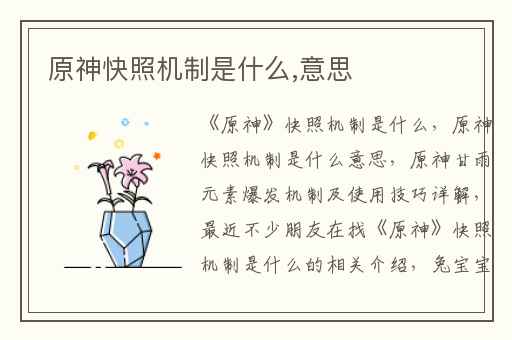 原神快照机制是什么,意思