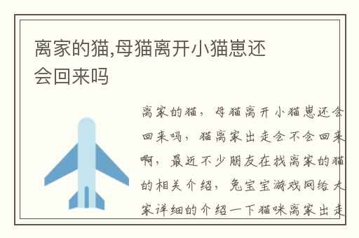 离家的猫,母猫离开小猫崽还会回来吗