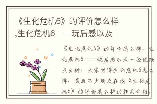 《生化危机6》的评价怎么样,生化危机6——玩后感以及一些优缺点分析