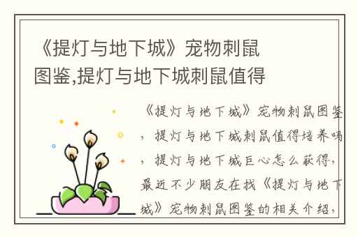 《提灯与地下城》宠物刺鼠图鉴,提灯与地下城刺鼠值得培养吗