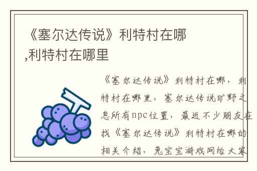 《塞尔达传说》利特村在哪,利特村在哪里