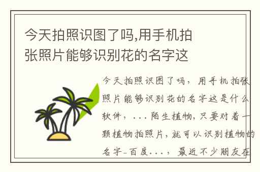 今天拍照识图了吗,用手机拍张照片能够识别花的名字这是什么软件