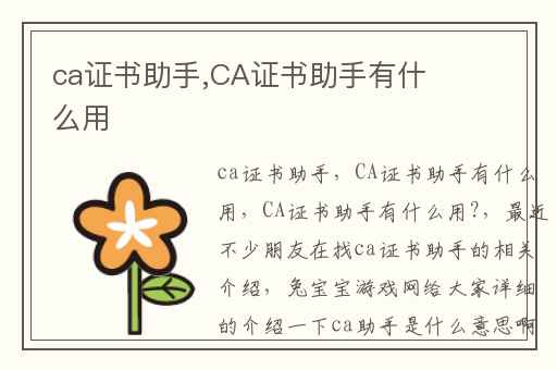 ca证书助手,CA证书助手有什么用