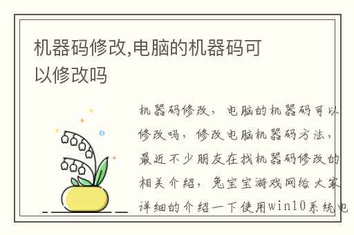 机器码修改,电脑的机器码可以修改吗
