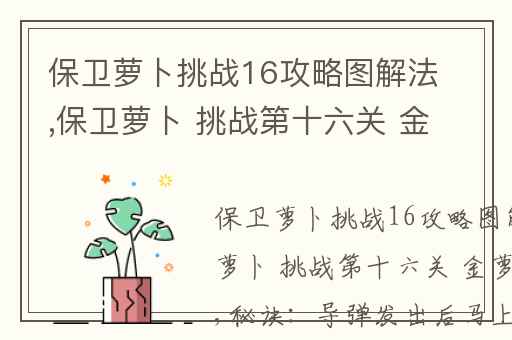保卫萝卜挑战16攻略图解法,保卫萝卜 挑战第十六关 金萝卜攻略