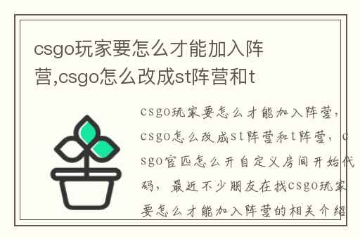 csgo玩家要怎么才能加入阵营,csgo怎么改成st阵营和t阵营