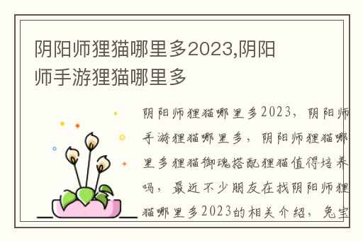 阴阳师狸猫哪里多2023,阴阳师手游狸猫哪里多