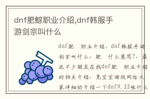 dnf肥鯮职业介绍,dnf韩服手游剑宗叫什么