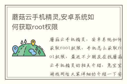 蘑菇云手机精灵,安卓系统如何获取root权限
