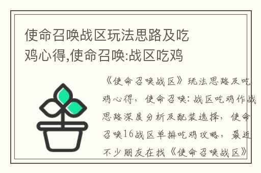 使命召唤战区玩法思路及吃鸡心得,使命召唤:战区吃鸡作战思路深度分析及配装选择