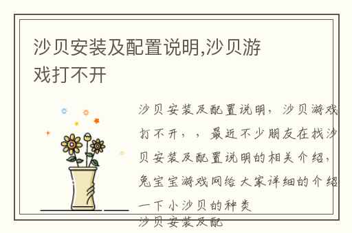 沙贝安装及配置说明,沙贝游戏打不开