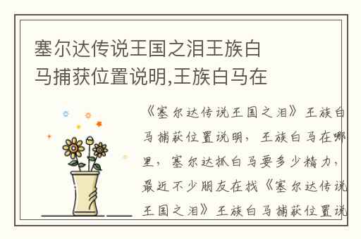 塞尔达传说王国之泪王族白马捕获位置说明,王族白马在哪里