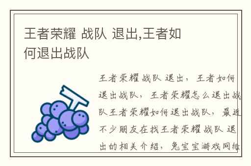 王者荣耀 战队 退出,王者如何退出战队